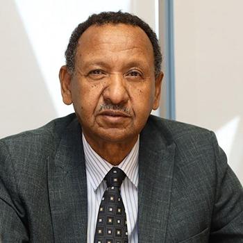 Professor Mustafa Osman Ismail Elamin